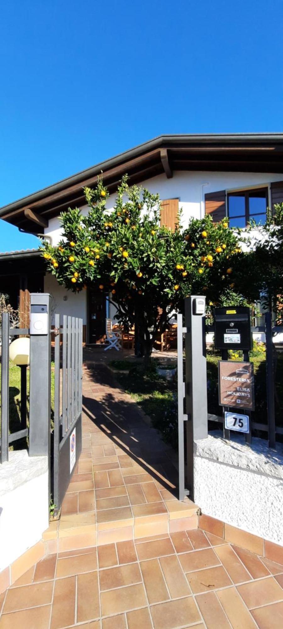Elisa Holidays Apartments Puegnago del Garda Esterno foto